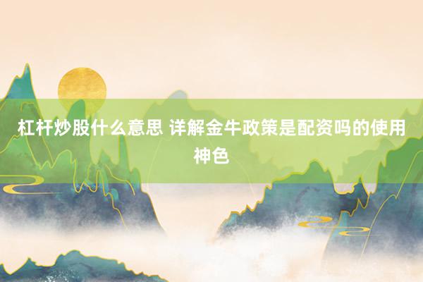 杠杆炒股什么意思 详解金牛政策是配资吗的使用神色